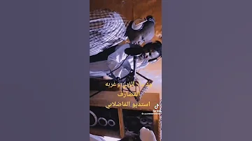 جديد عبدالله ودارالزين قالي قالي 2023 قريبا 