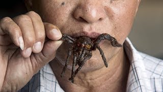 Inside The Cambodian Town That Eats Spiders