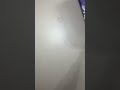 【友だちの誕プレ】買わないと損するもの...!? Part2 #shorts