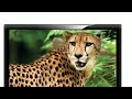 Top 10 Ultra Compact HD Television to buy
