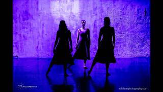 DWD Promo: Harmonic Dissonance at the CWP Evolution Festival (performance September 20, 2026)