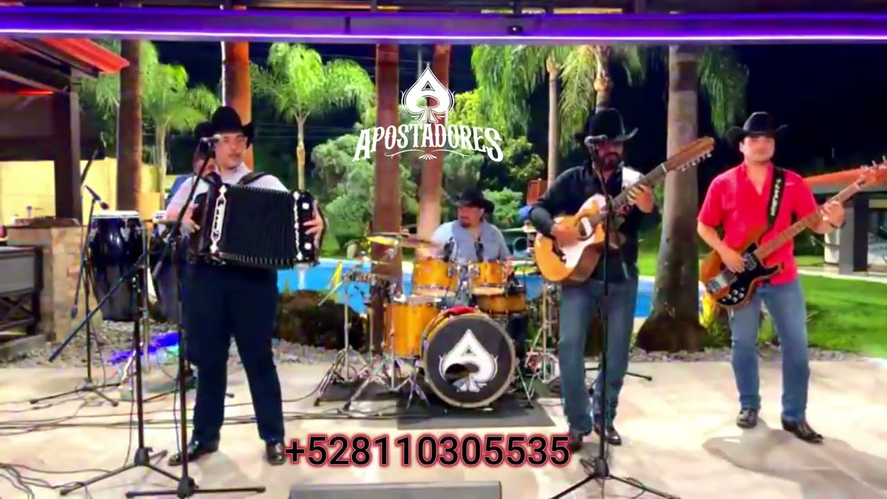 GAVIOTA en vivo Apostadores