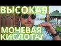 ПОДАГРА ОТ МЯСА И ПУРИНОВ В НЕМ! ЧТО ТОГДА ЕСТЬ?!