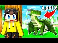 EJDERHA ADASININ EN NADİR EJDERHASINI BULDUM! (Zengin oldum🤑) | Minecraft