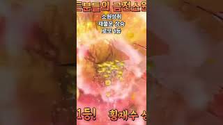 #금전운증진 #432hz주파수 #행운의순간 #횡재수상승 #로또비법 #금전운향상 #유튜브로또 #인생역전 #로또1등 #부와행운