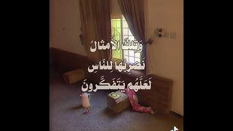 سورة الحشر القارئ عصام حمود
