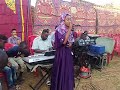 القيثاره الاء الباشا لي حبيب شاغل بالي