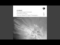 Miniature de la vidéo de la chanson Toccata, Adagio And Fugue In C Major, Bwv 564: Ii. Adagio