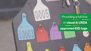 Shearwell Usa Cattle Tagging & Livestock Systems