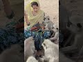 bhole Baba