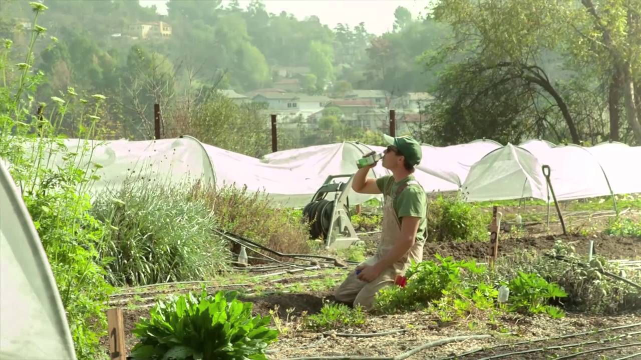 Organic Flower Farmer