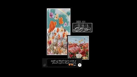 ارح مسمعك تلاوات قرآنـية جميلة 🎤♥.. . ٠تهدّئ قلبك بعيداً عن ضجيج الحياة أنشر ولك أجر السامعين 💛