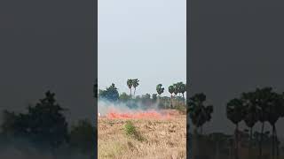##@@ -Save soil -save Environment-##@@