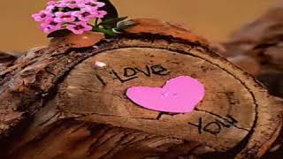 Cevset Bağca Zulamdasın Solumdasın⊰❀⊱Gülbiye♥Orhan⊰❀⊱