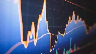 Rate cuts and elections: Two market catalysts on the horizon