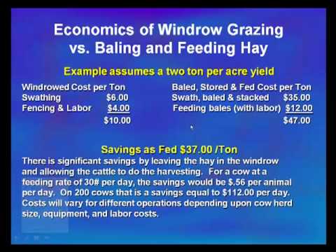 Windrow grazing or swath grazing can significantly reduce harvesting and feeding costs for forage to cattle enterprises as compared to feeding baled hay. These costs savings can equal clost to $40 per ton. Windrow grazing also effectively returns a majority of nutrients contained in the feed back to the ground that it was harvested from, significantly reducing subsequent fertilizer needs for future crops.