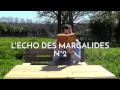 L'ÉCHO DES MARGALIDES Lettre d'info N°2