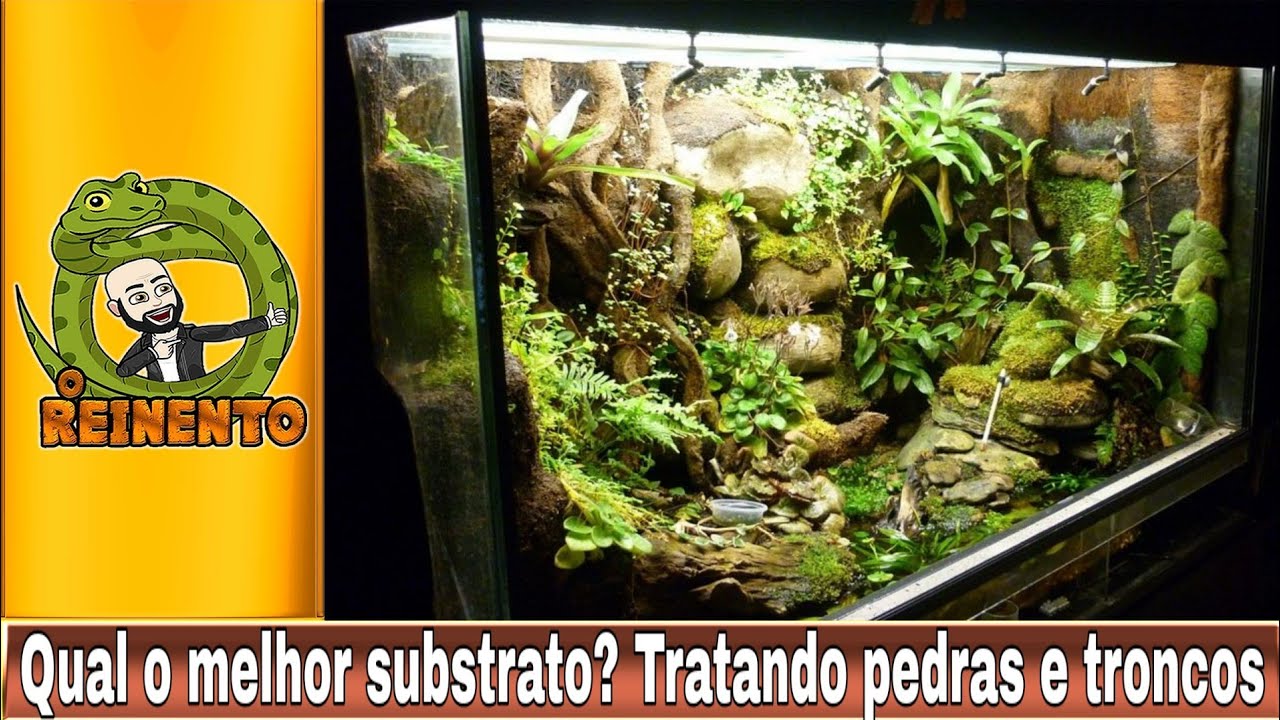 petco hours SUBSTRATO x AGILIDADE, TRONCO, PEDRA E XINGAMENTO