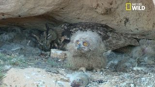 Le desert de Tabernas et ses fontaines pétrifiantes