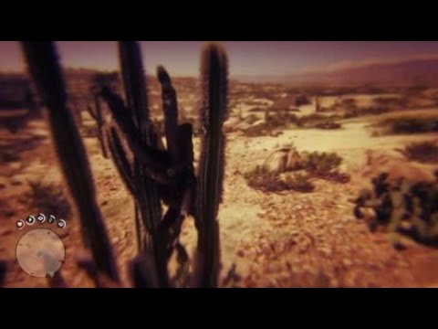 Red Dead Redemption 2 cactus fail - YouTube