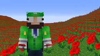 Why I Covered this World In Flowers