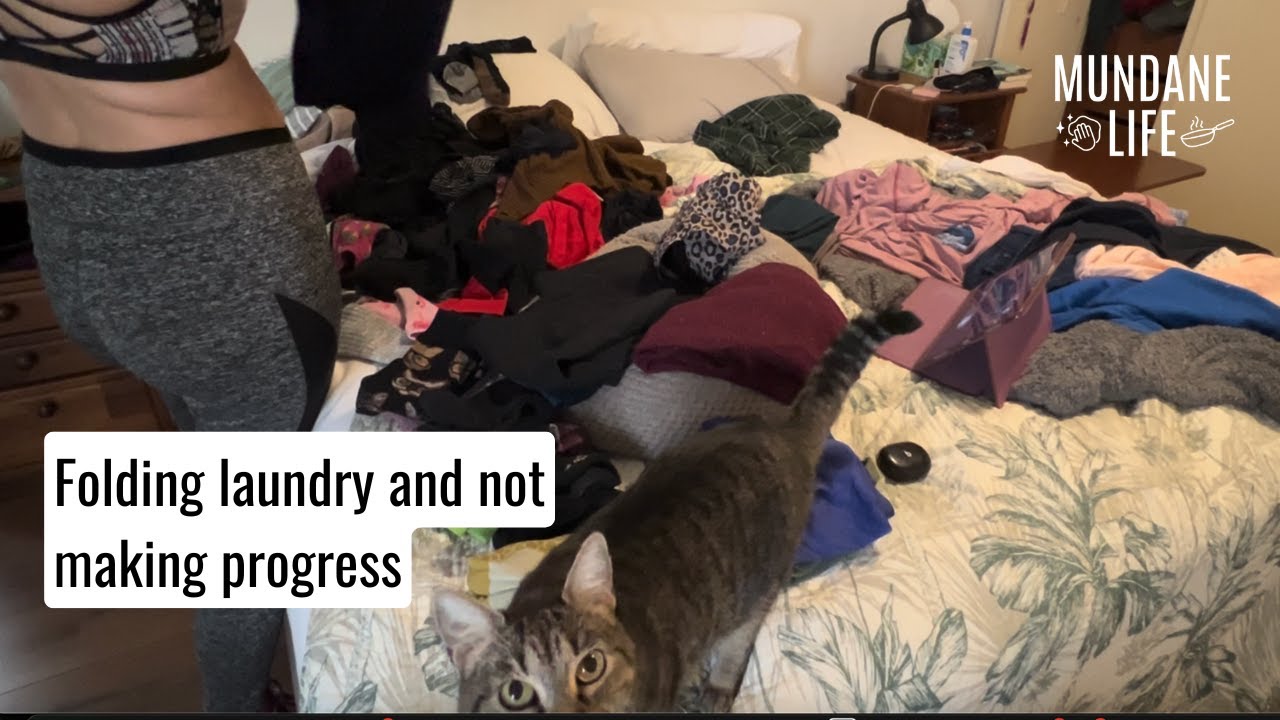 Folding Laundry (Sort of) | Real-Time Video with Cat Cameo