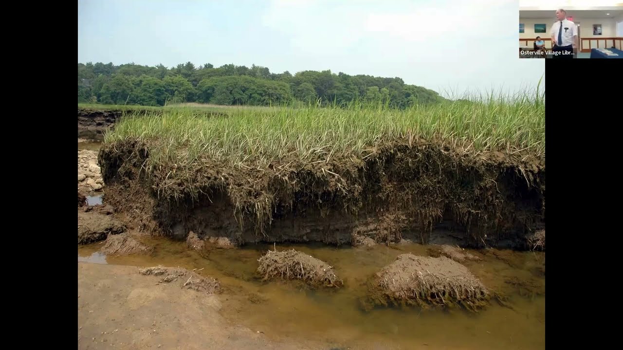 Salt Marshes with Gil Newton of the Barnstable Land Trust