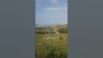 سورة الضحى 😌😌 #اكسبلور #دويتو #لايك #المراه #راحة_نفسية #duet