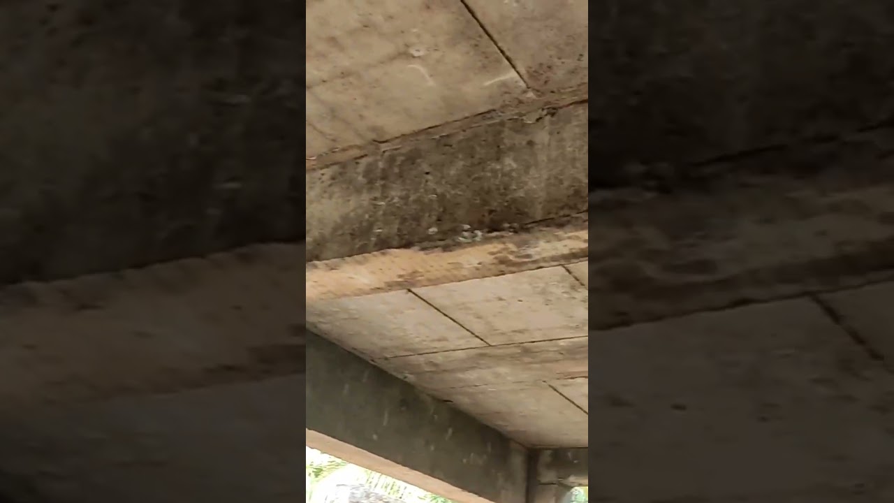 How to Find Depth of Beam 