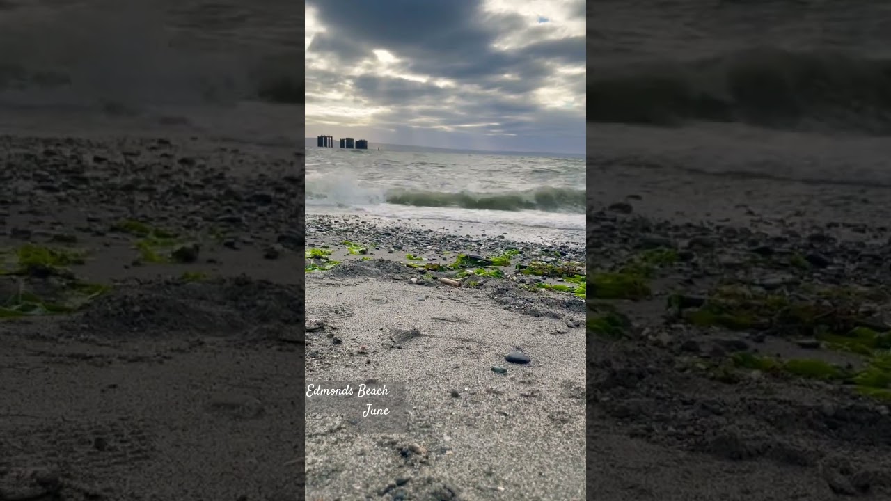 Edmonds Beach June