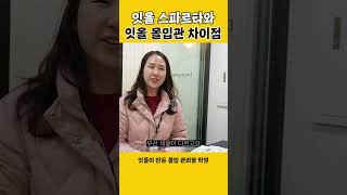 잇올 스파르타와 잇올 몰입관의 차이점?