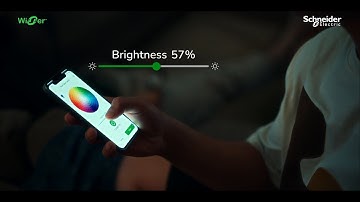 Live Smart, Be Energy Wise with Schneider Electric Wiser 2.0