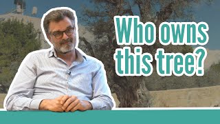 Who Owns This Tree? Peoples Land Rights Need Maps And More - Geohero