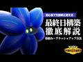 【構築の組み方】２日でレートを２００上げた最終日構築を徹底解説します【ポケモンチャンピオンズ】