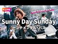 【LIVEカバー】Sunny Day Sunday - センチメンタル・バス(39度のとろけそうな女性ボーカル/Female Vocal / Hard Rock cover)