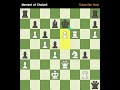 Moment of Choice!! #chesschallenge #tacticstime #pawnmove  #rooksacrifice