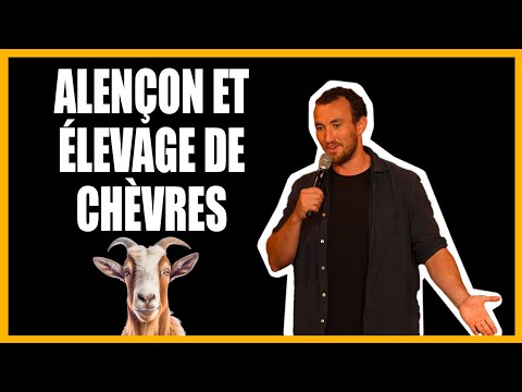 Alençon et élevage de chèvres