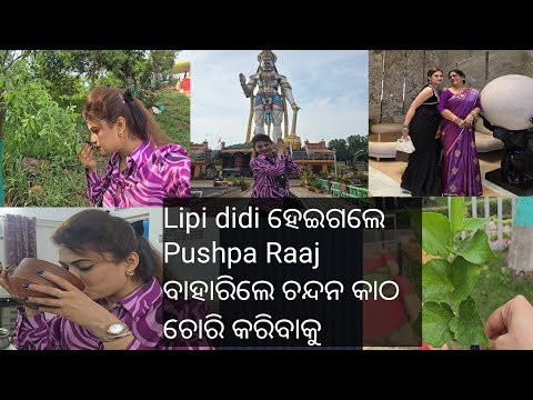 Damanjodi Re kete ଚନ୍ଦନ କାଠ//ସବୁ ଭୁଲ information//travelvlog