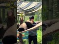 小孩子的氣性來的快也去得快,小月亮被苗苗拉下滑滑梯氣得要跟苗苗拼命,而後馬上又把後背給苗苗撒嬌要他抱 #大熊貓小月亮#大熊貓良月崽 #治癒系 #來這吸熊貓