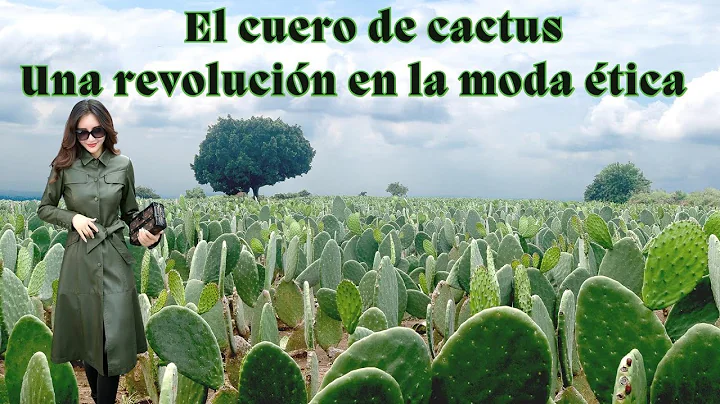 "Conoce el cuero de cactus y su impacto en la industria de la moda".
