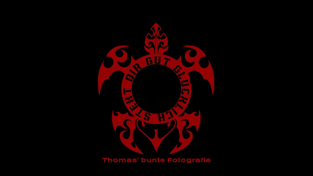 Thomas bunte Fotografie - Die kleinen Helferlein Teil 2, 2024 #friedhof #ki #denkimpuls #zusammen