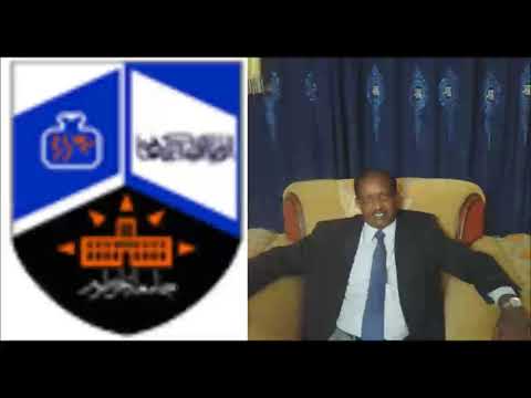 رموز وأفكار فرانسيس دينق ح4