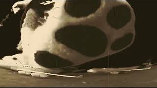 Furry Giant - Crush2