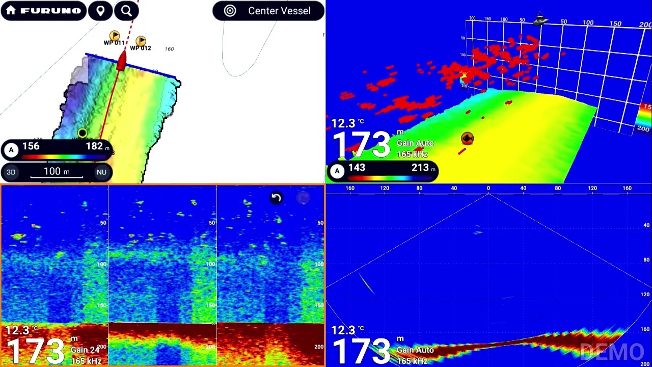 Furuno DFF3D -  The 4 Display Modes