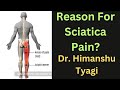Reason for Sciatica Pain ?
