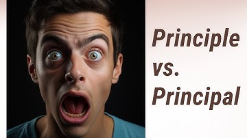 Clearing the Confusion: Principle vs. Principal