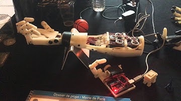 InMoov