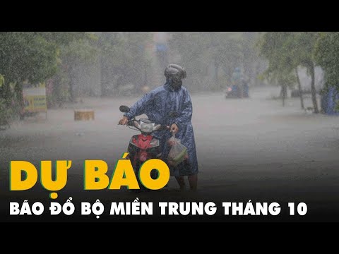 Video: Bão từ vào tháng 10 năm 2019