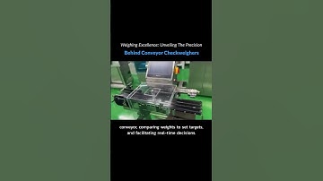 Weighing Excellence: Unveiling The Precision Behind Conveyor Checkweighers