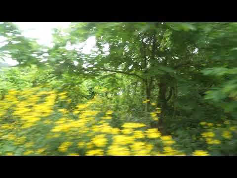 20250810　快速ひなび釜石盛岡行き　宮守駅到着（宮守川橋梁通過）